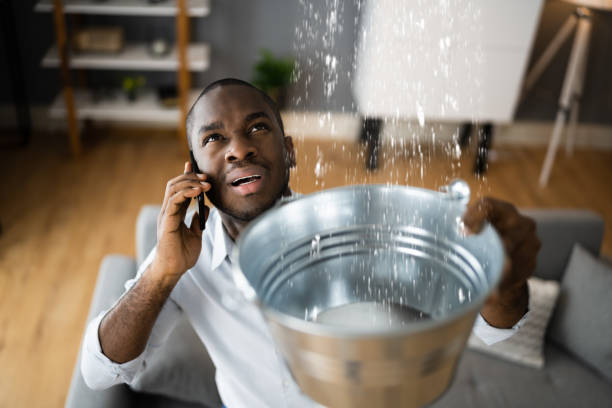 Best Basement water damage restoration  in Amsterdam, NY