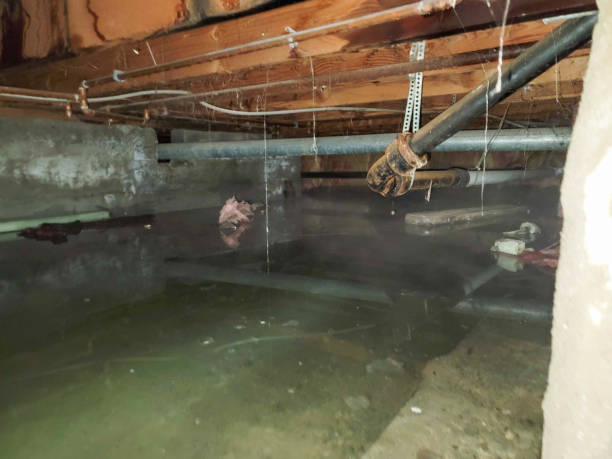 Trusted Amsterdam, NY Water damage restoration Experts
