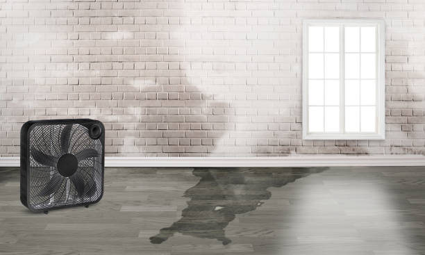 Best Residential water damage restoration  in Amsterdam, NY