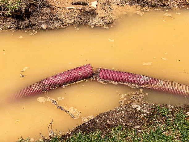 Best Carpet water damage restoration  in Amsterdam, NY