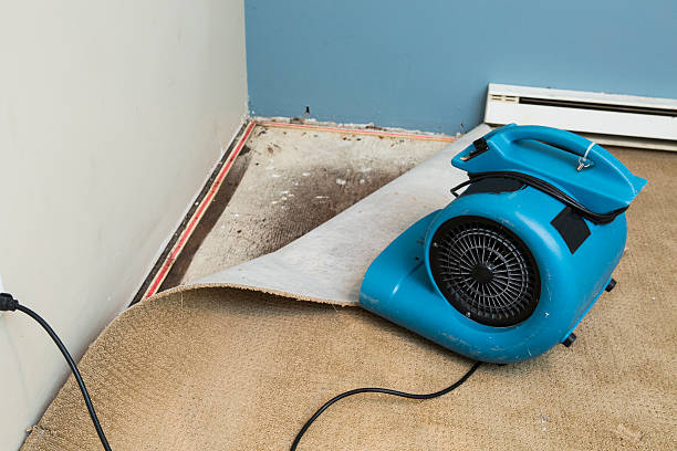 Carpet water damage restoration in Amsterdam, NY